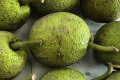 BuenPan