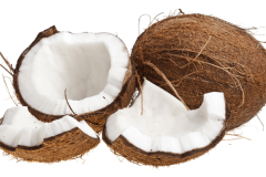 coco-seco-2