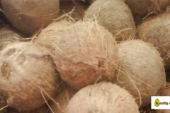 coco-seco-4