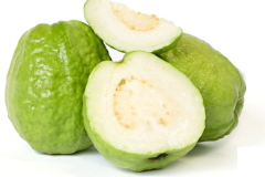 guayaba-2
