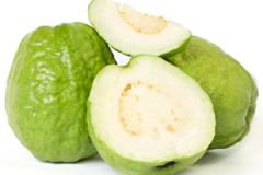 guayaba300