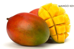 mango-kent