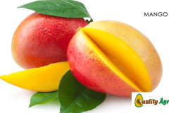 mango-tomy