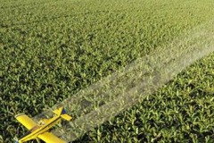 quality-plantaciones-09