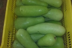 quality-plantaciones