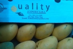 quality-produccion-25