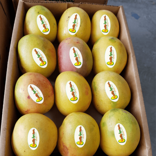 Mango_Banilejo