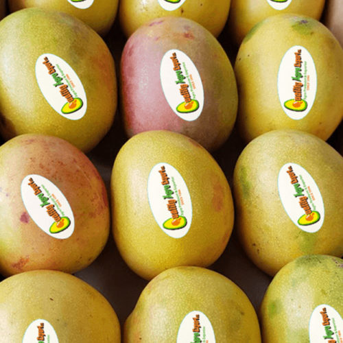 Mango_Banilejos
