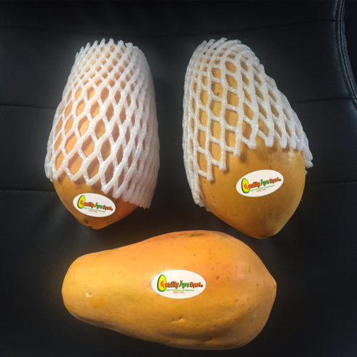 Papaya