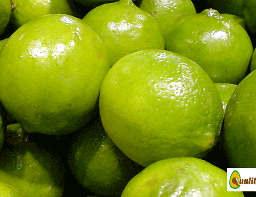 limon-3