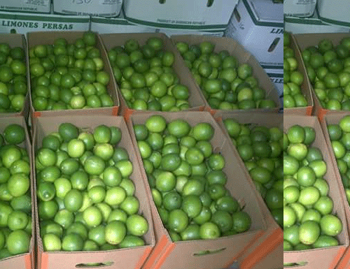 limon-8