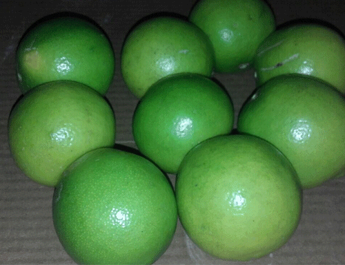 limon-dulce-3