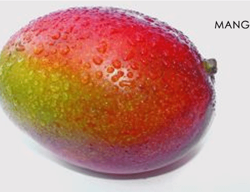 mango-heidy2