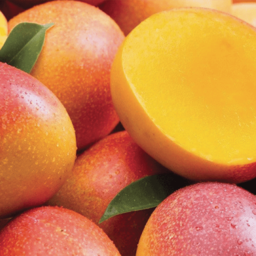 mango-kent