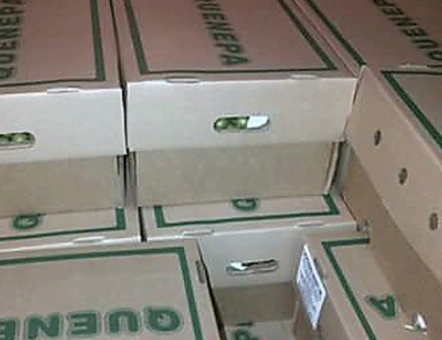 quenepa-4